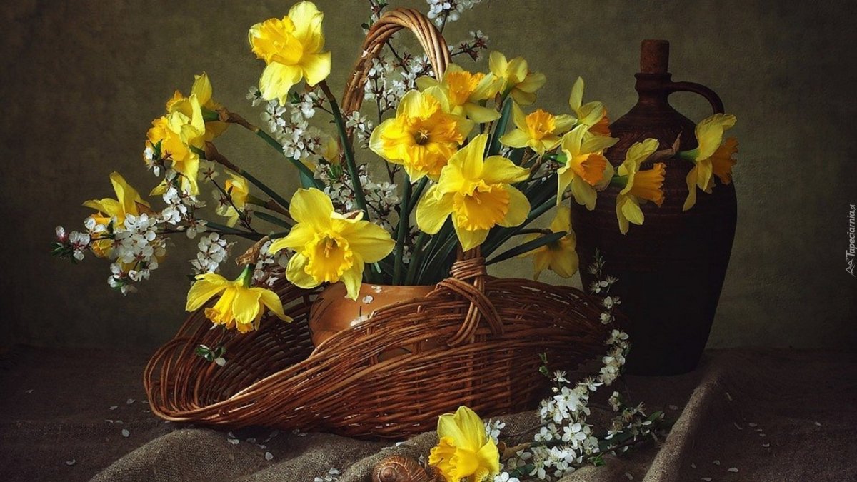 Нарциссы в корзине