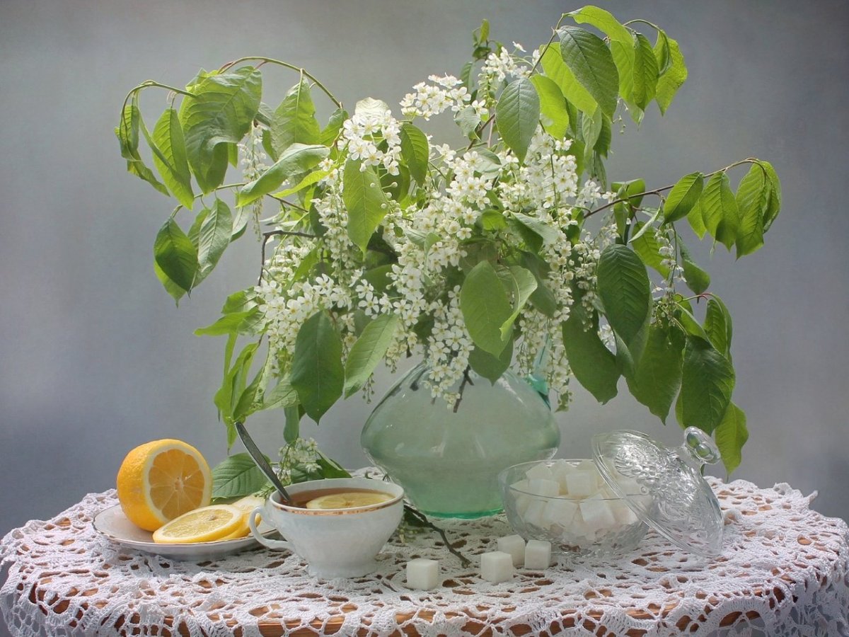 Натюрморт с черемухой