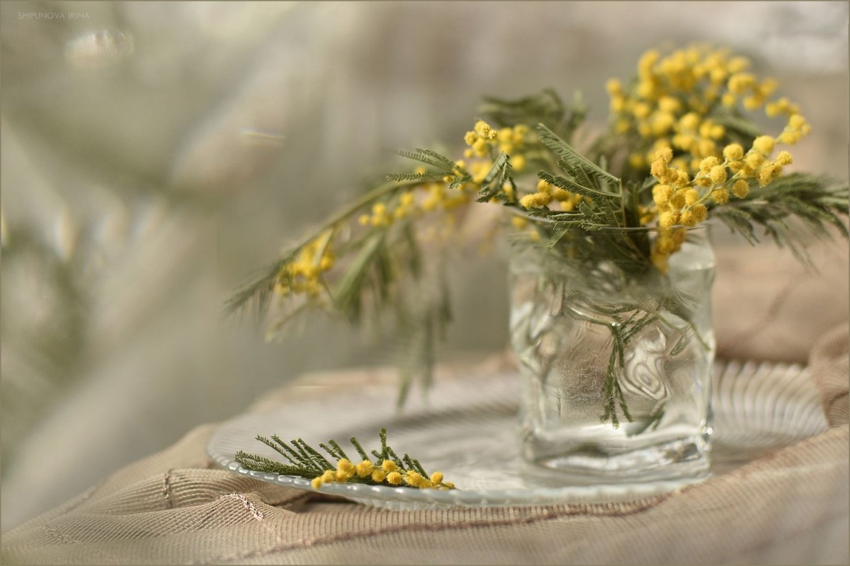 Весенние мотивы натюрморты