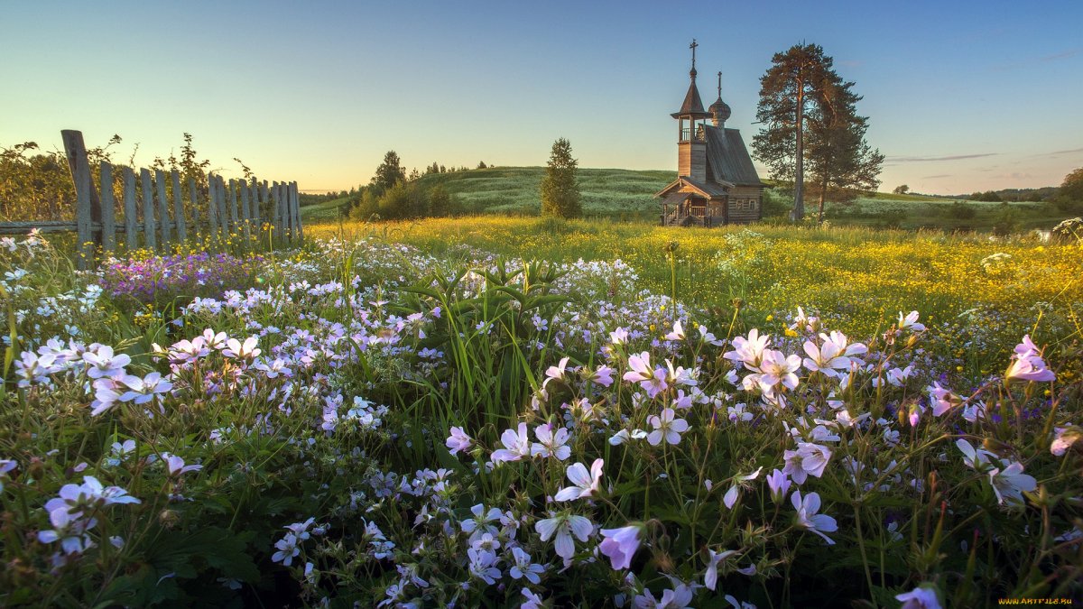Даниил Коржонов Кенозеро