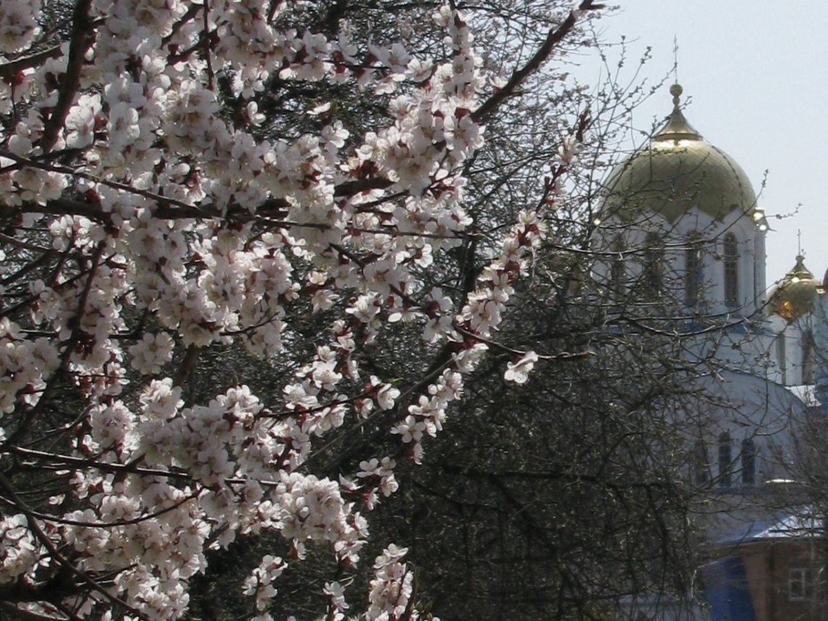 Весна Пасха храм