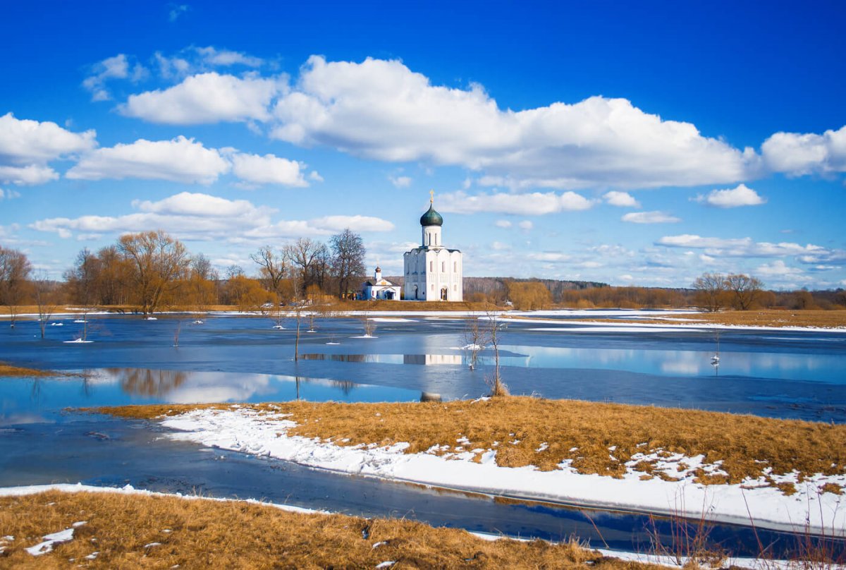 Церковь Покрова на Нерли Весна