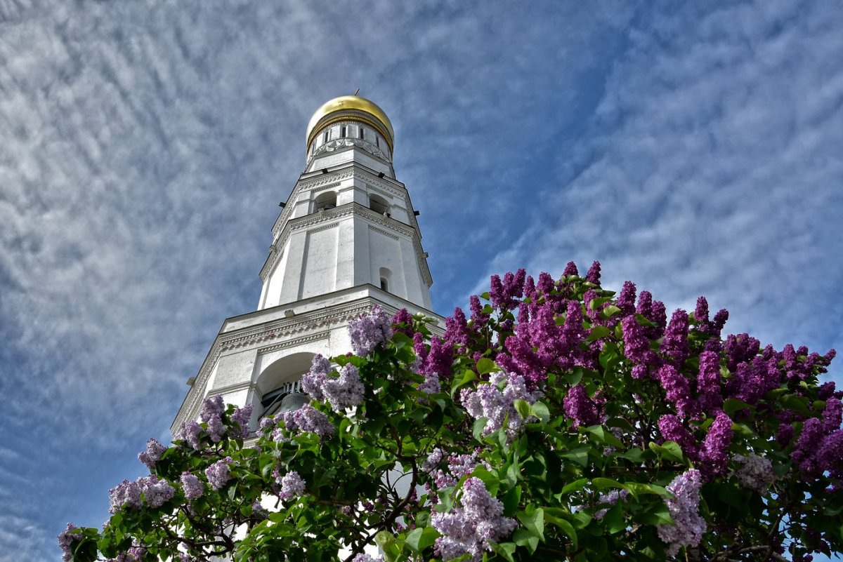 Цветы на фоне церкви