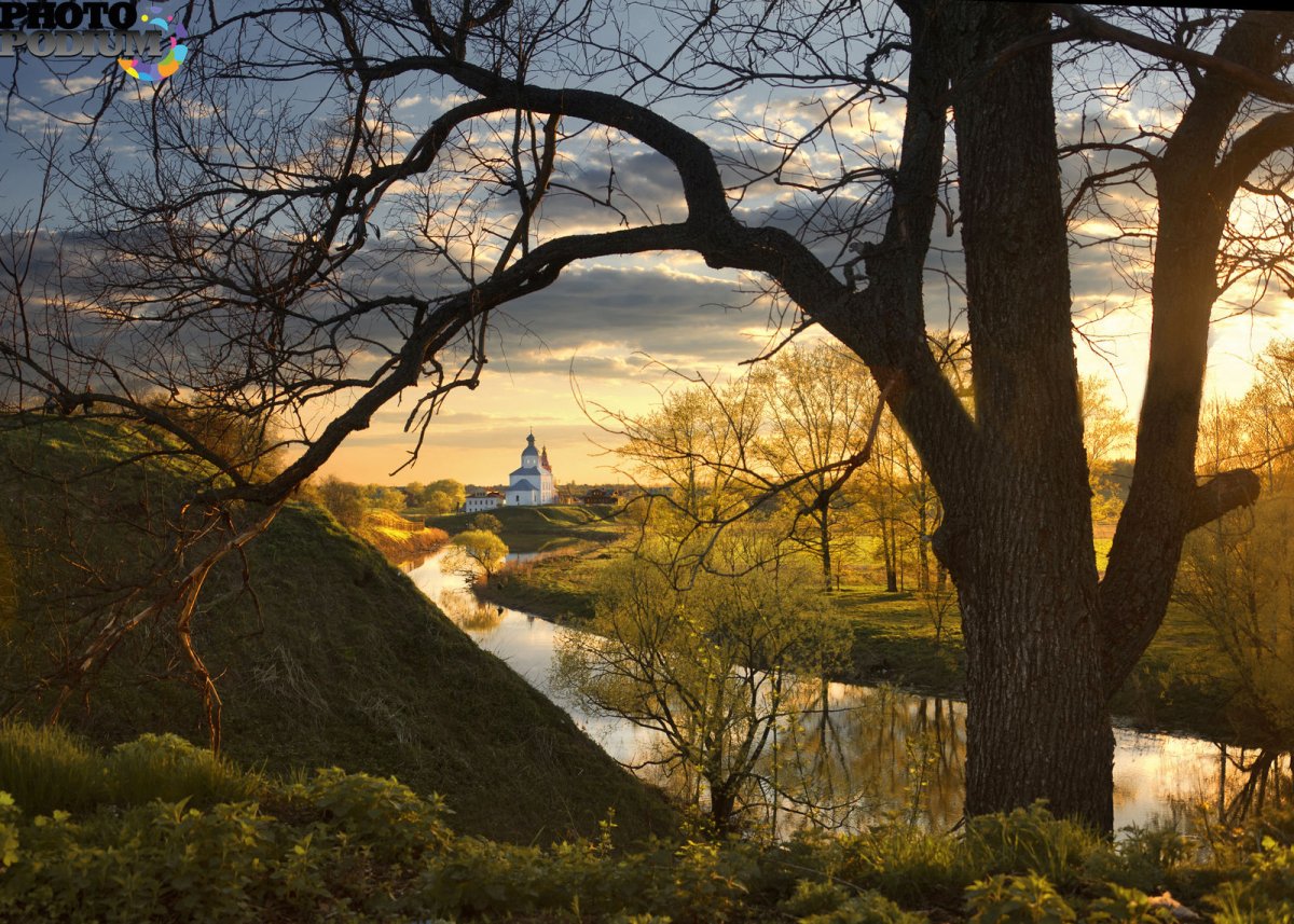 Фотохудожники пейзаж в весеннем саду