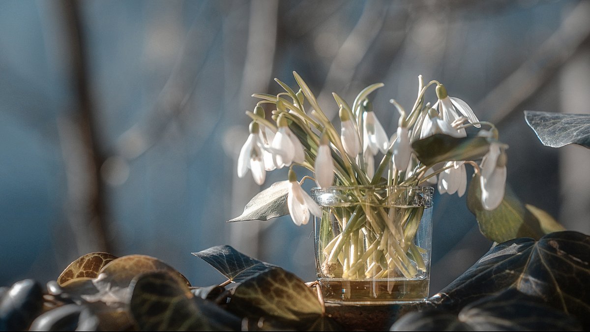 Открытое окно