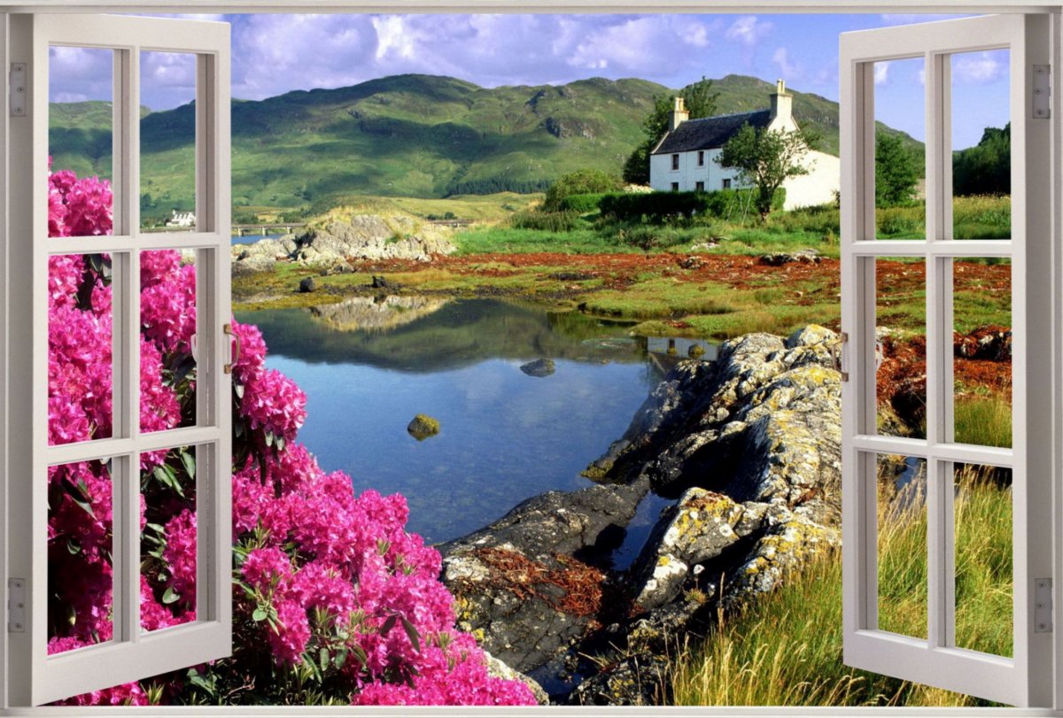 Красивая природа из окна