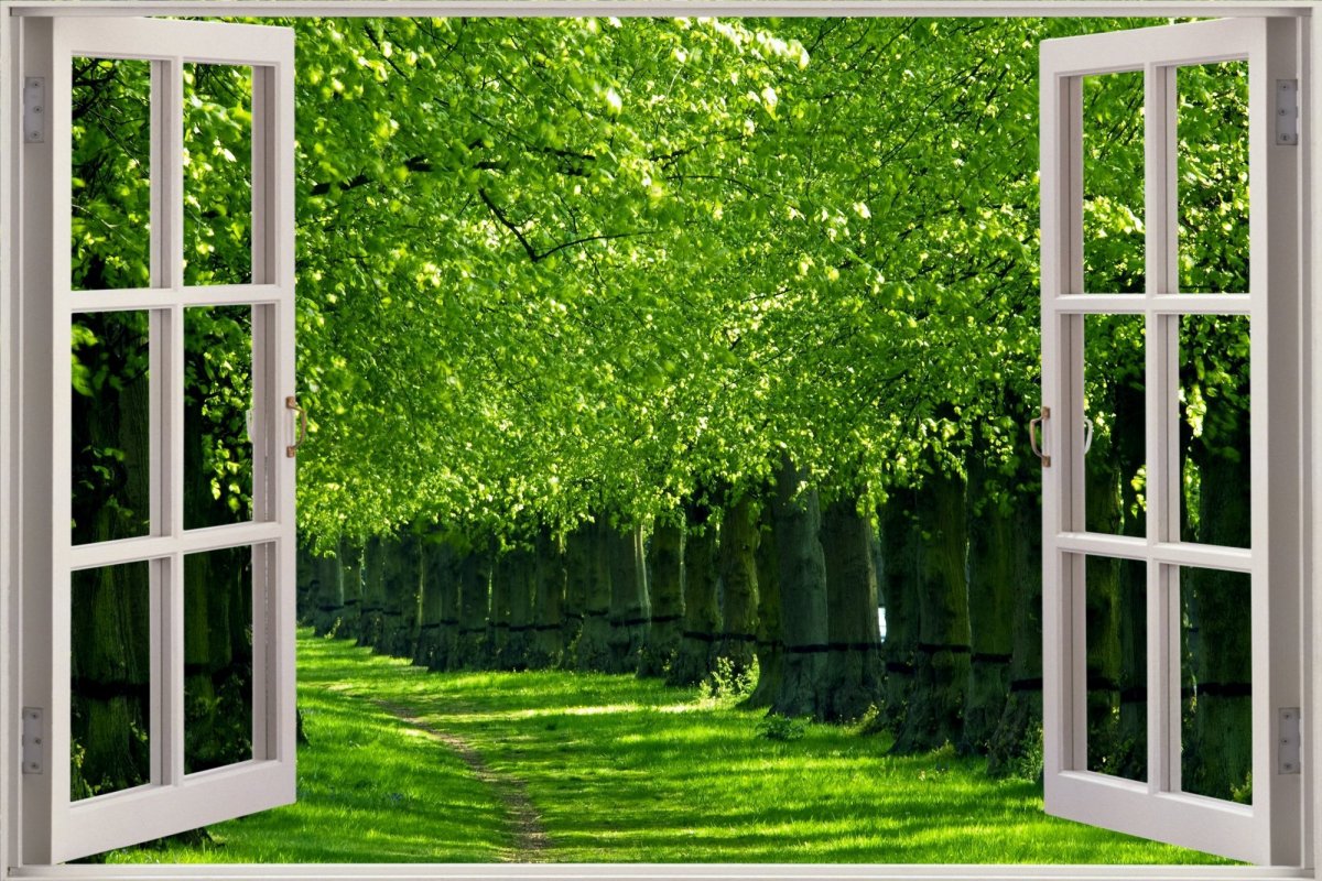 Вид за окном