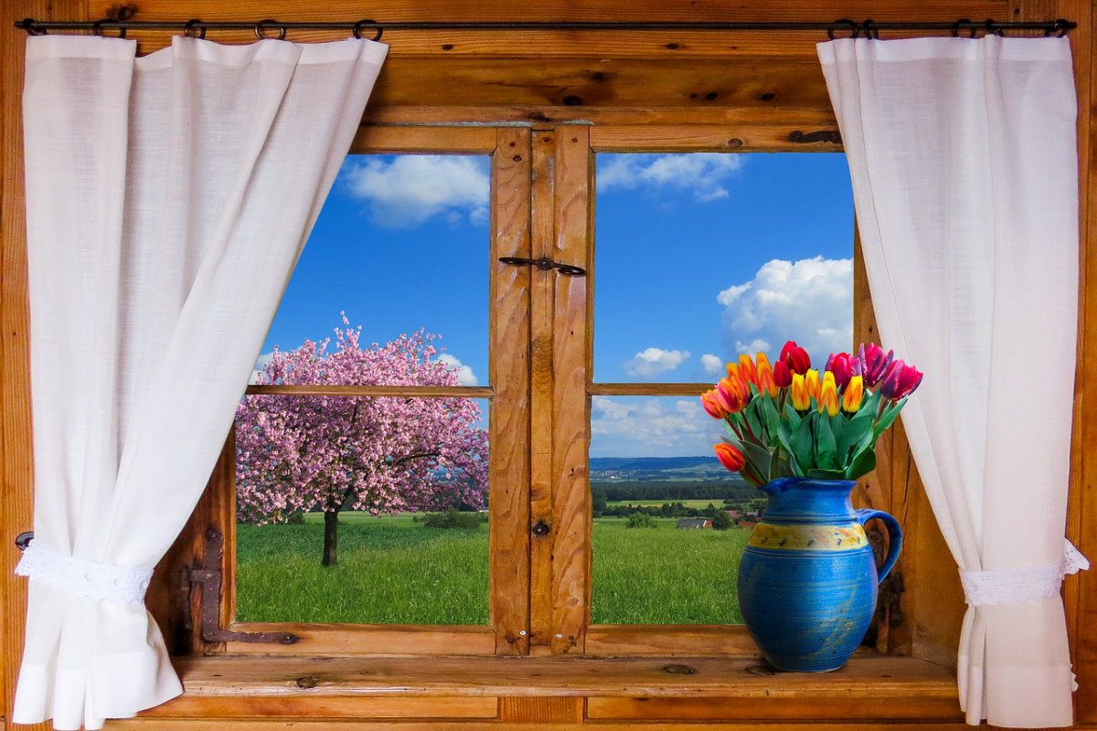 Весенний пейзаж из окна