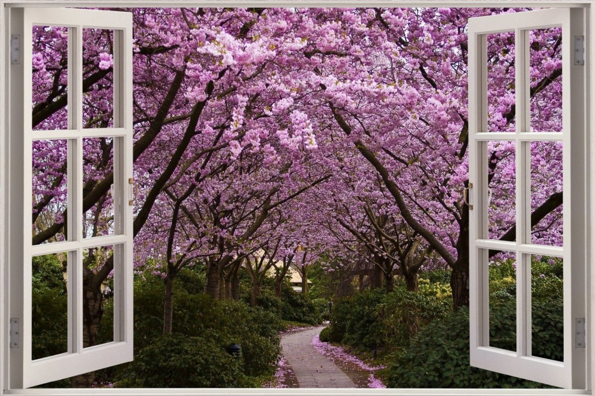 Пейзаж в окне