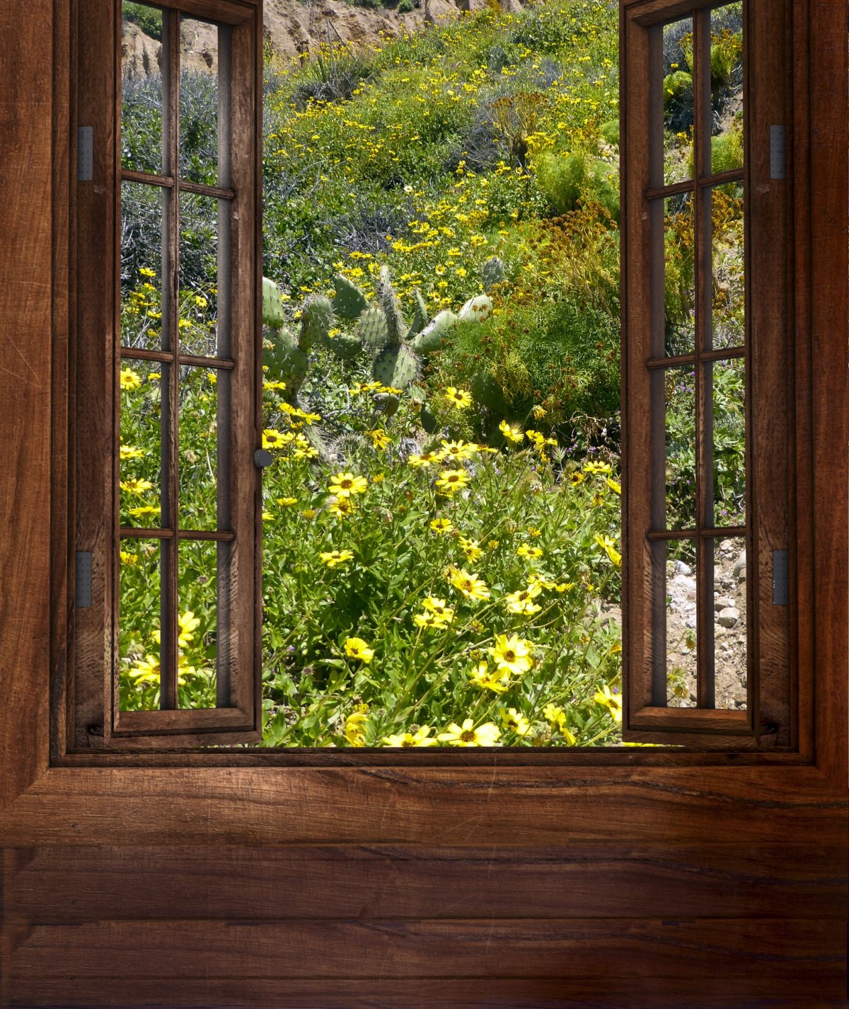 Фотообои окно в природу