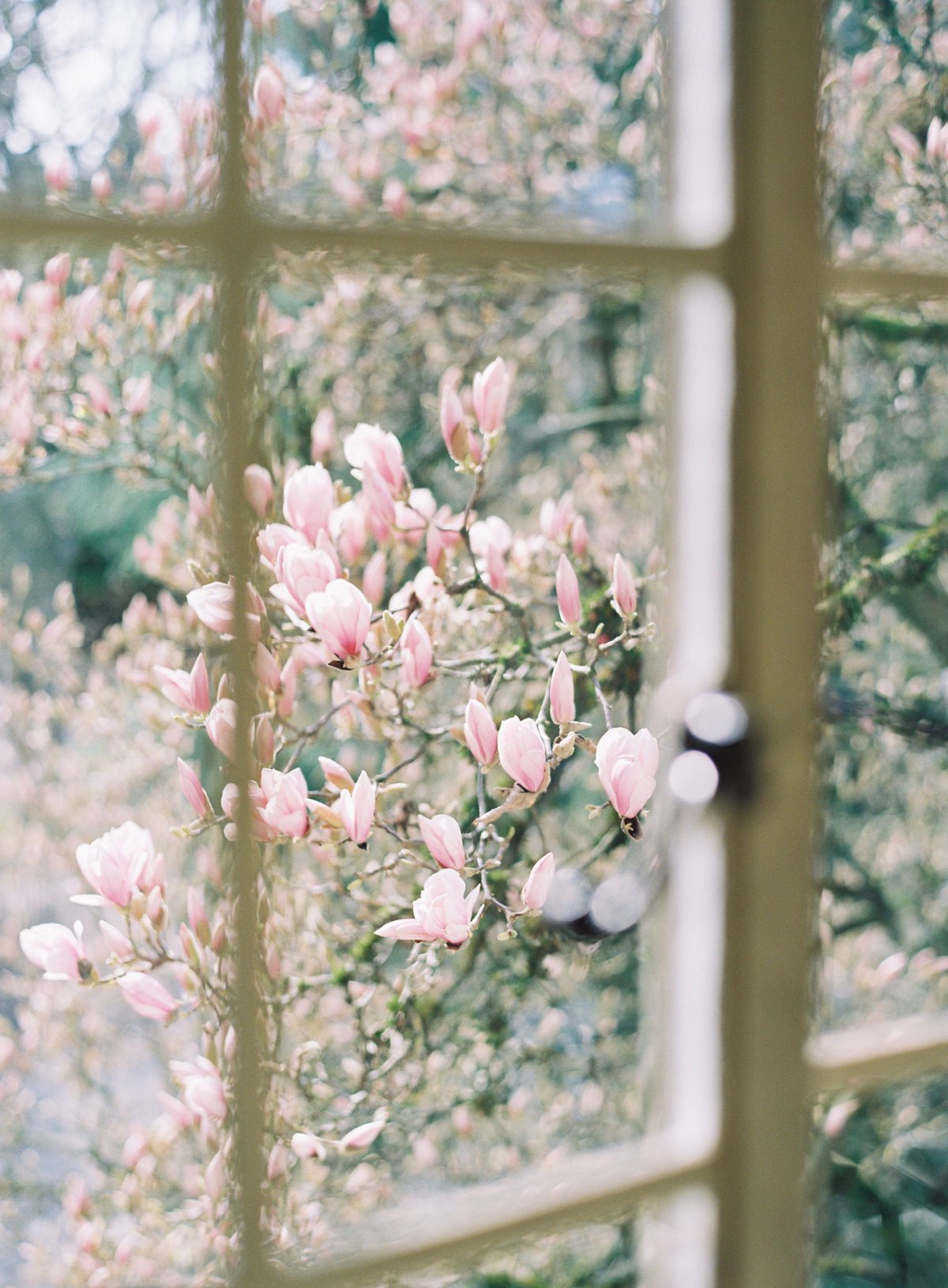 Весеннее окно
