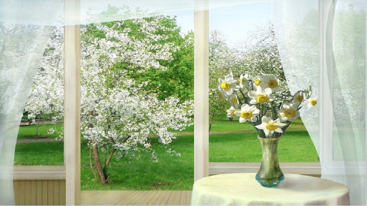 Подснежники на окна