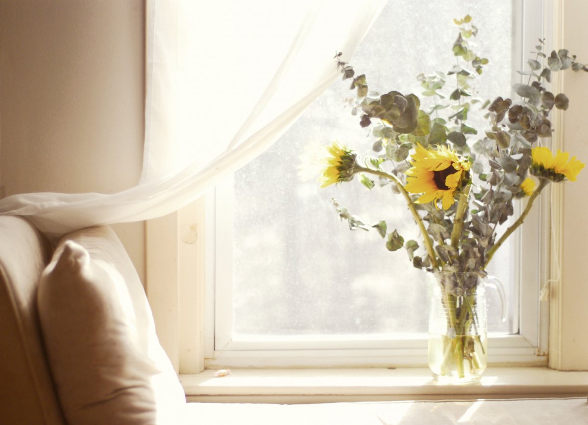 Природа зелень