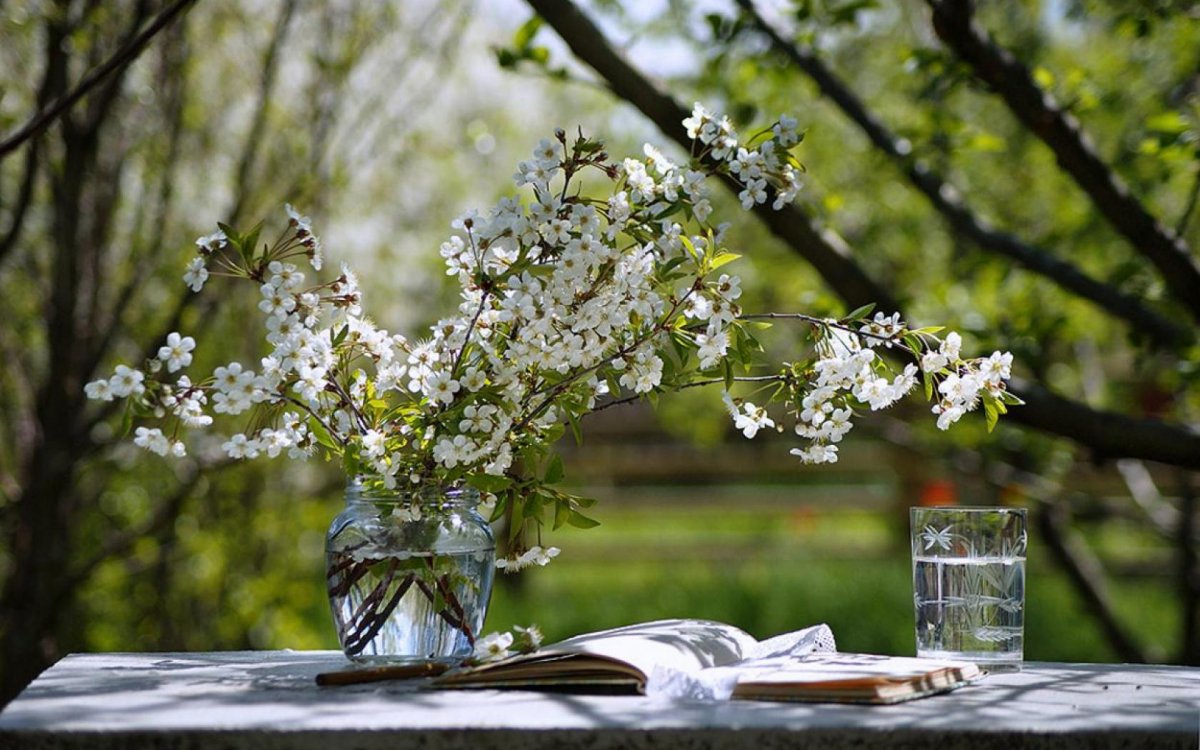 Доброе Весеннее Майское утро