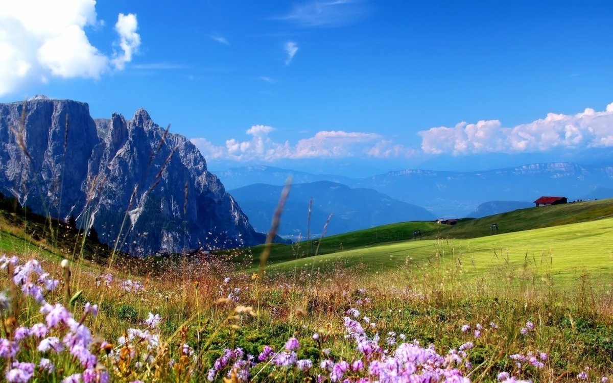 Гора Рагдан Альпийский луг