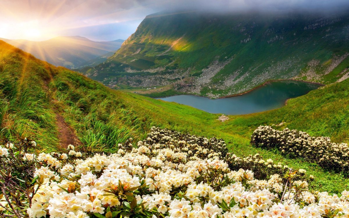 Долина цветов в горах