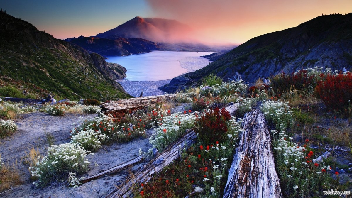 Весенний пейзаж