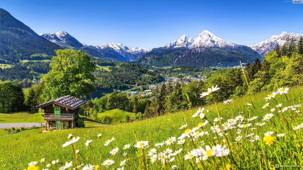 Альпийские Луга Швейцария