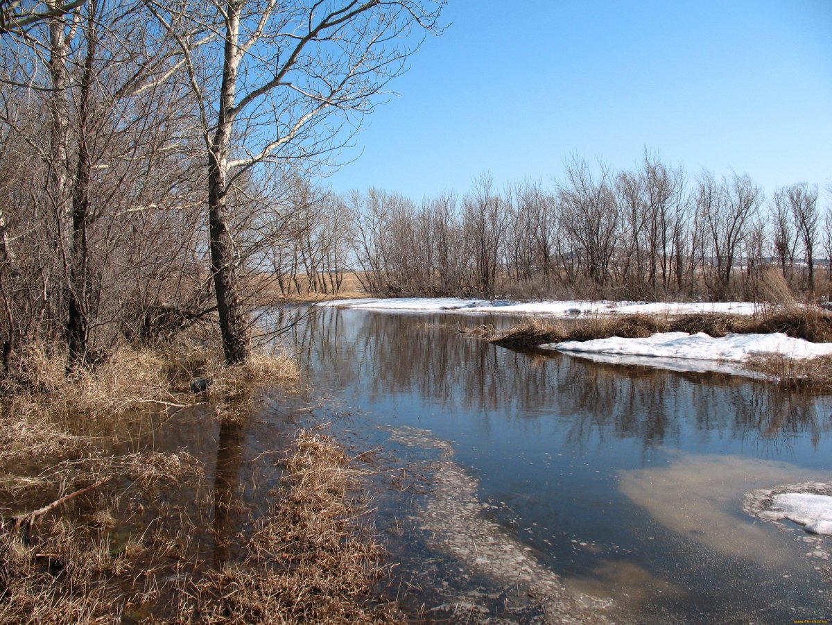 Природа Весна апрель