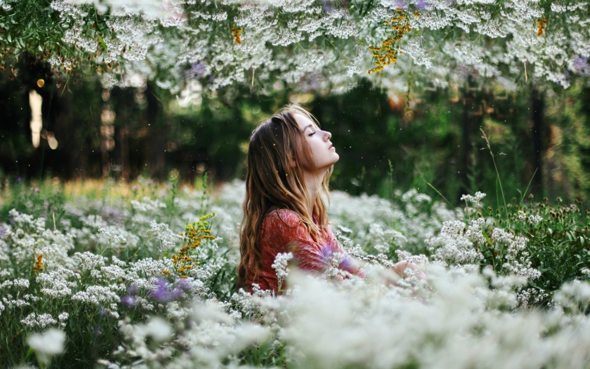 Гармония природы