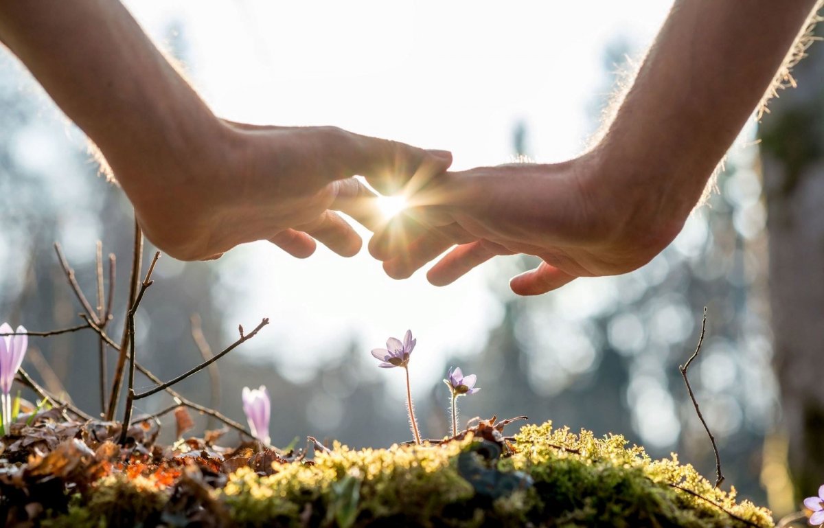 Радость жизни природа