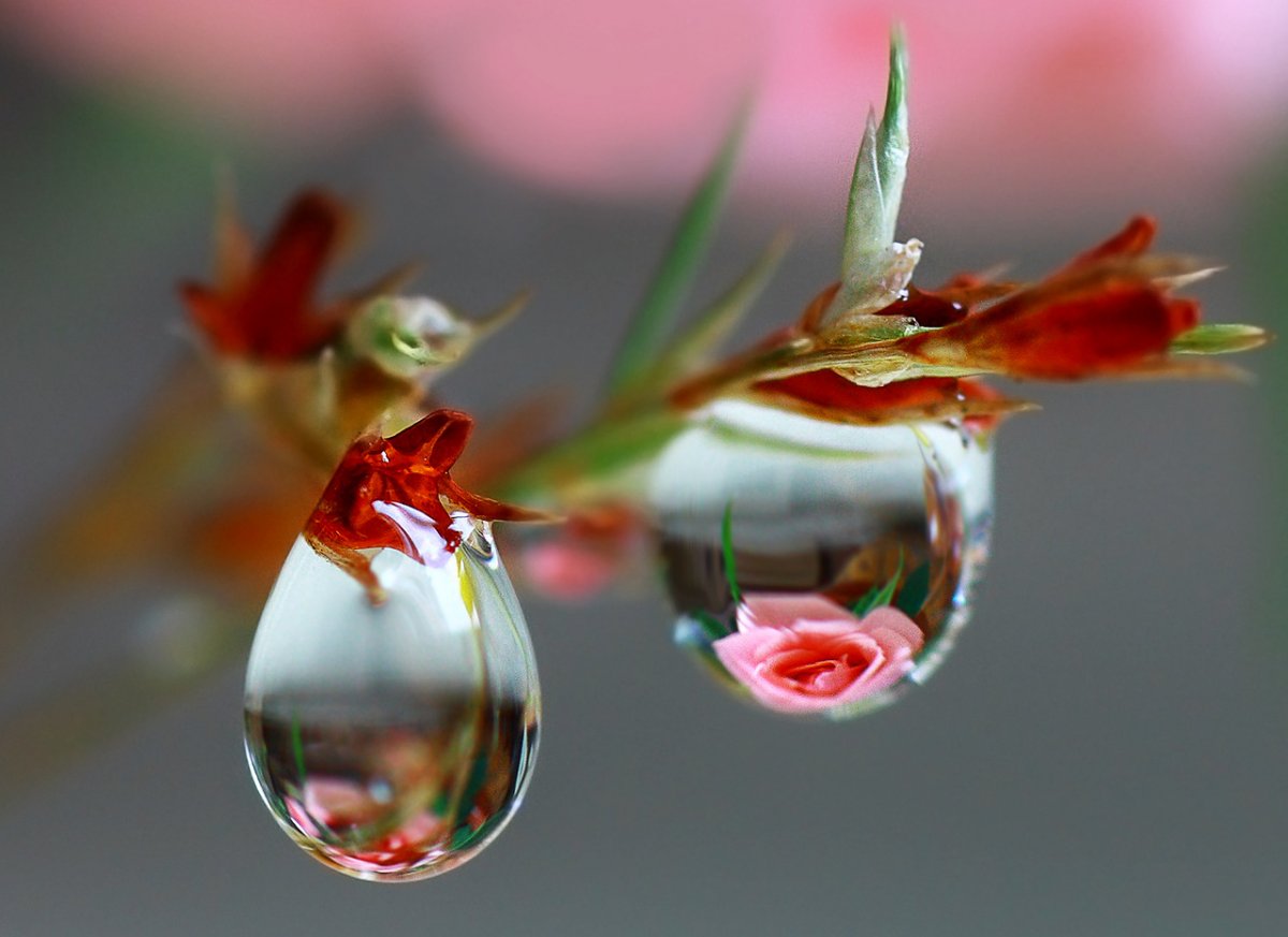 Имейте терпение пусть грязь осядет