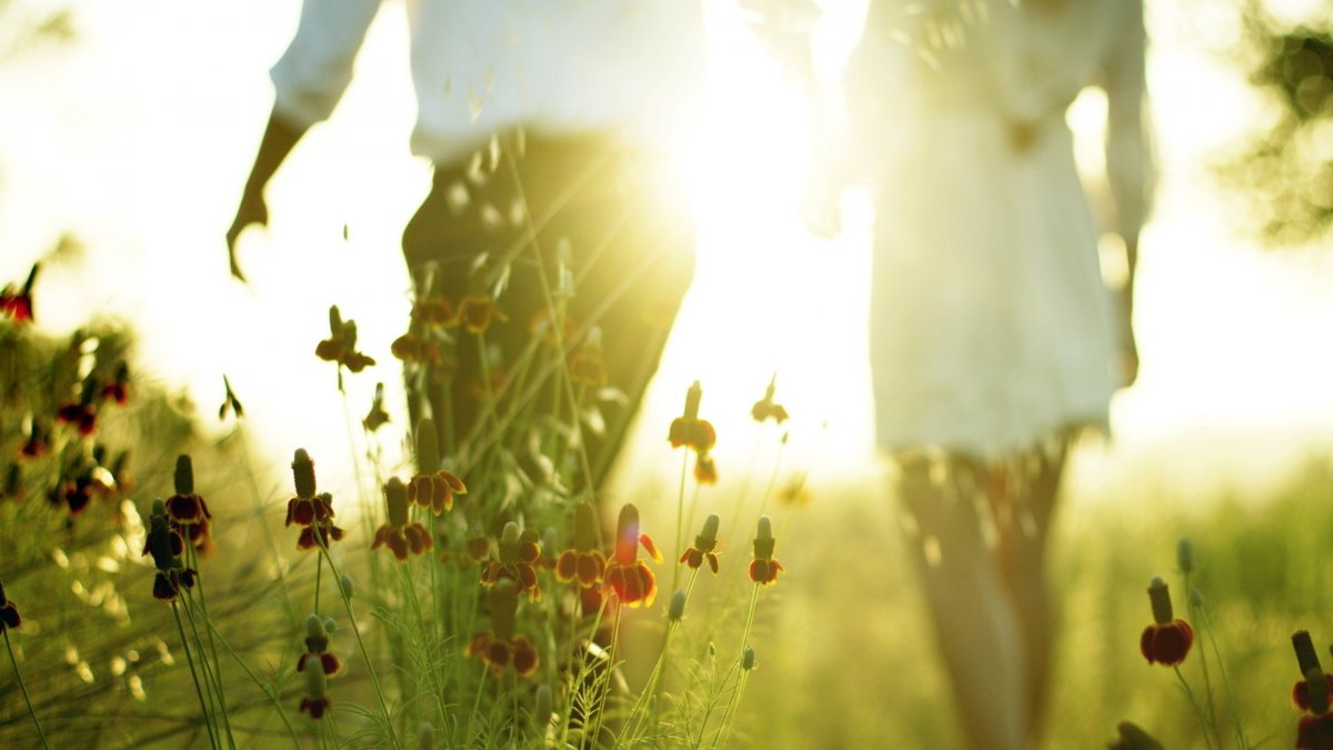 Весна любовь счастье