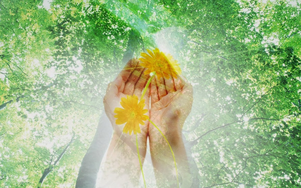 Солнце в ладошках