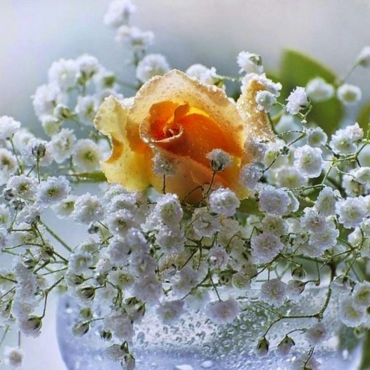 Весеннего настроения нежности и счастья