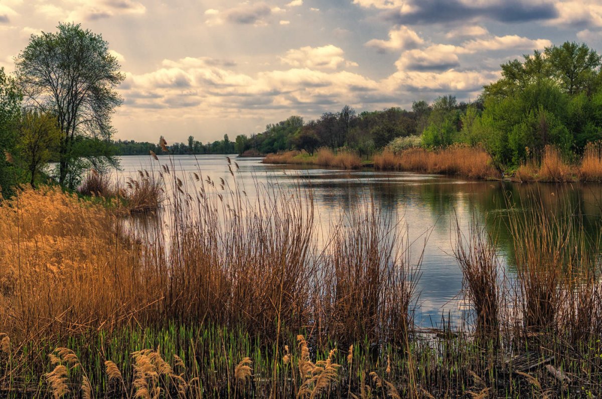 Река Тростня