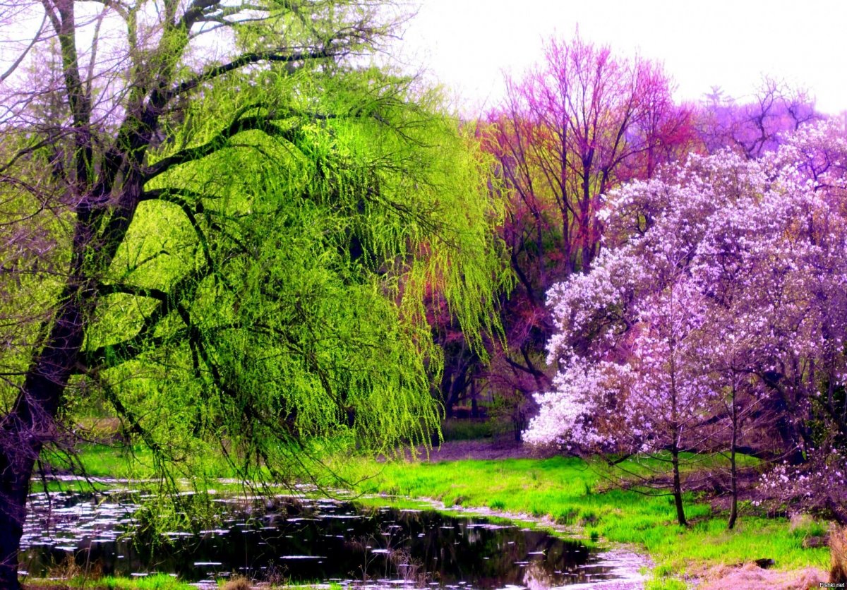 Природа в конце апреля
