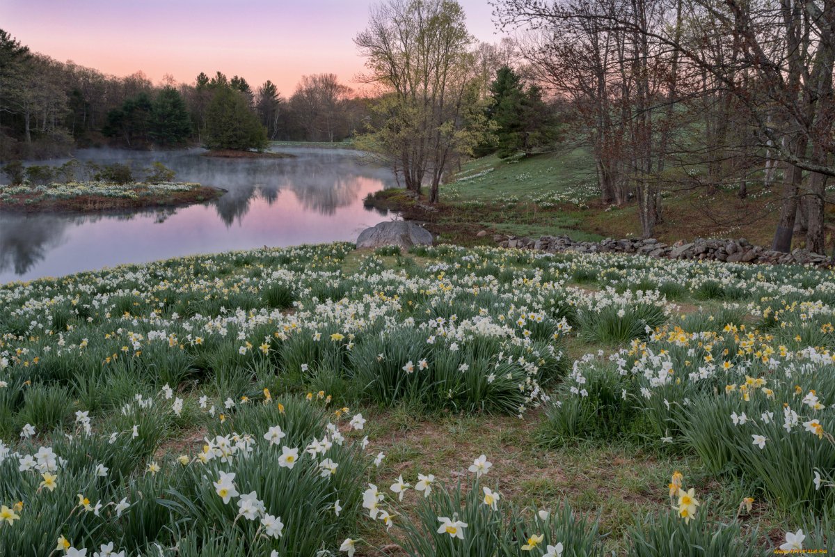 Природа весной