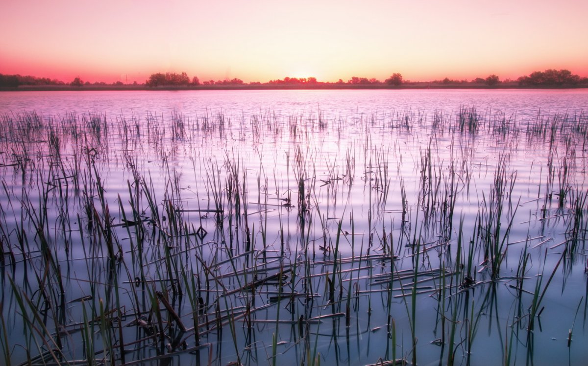 Ростовская область Весна река