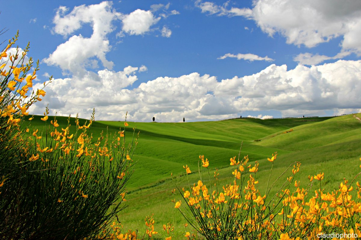 Тоскана поля Весна