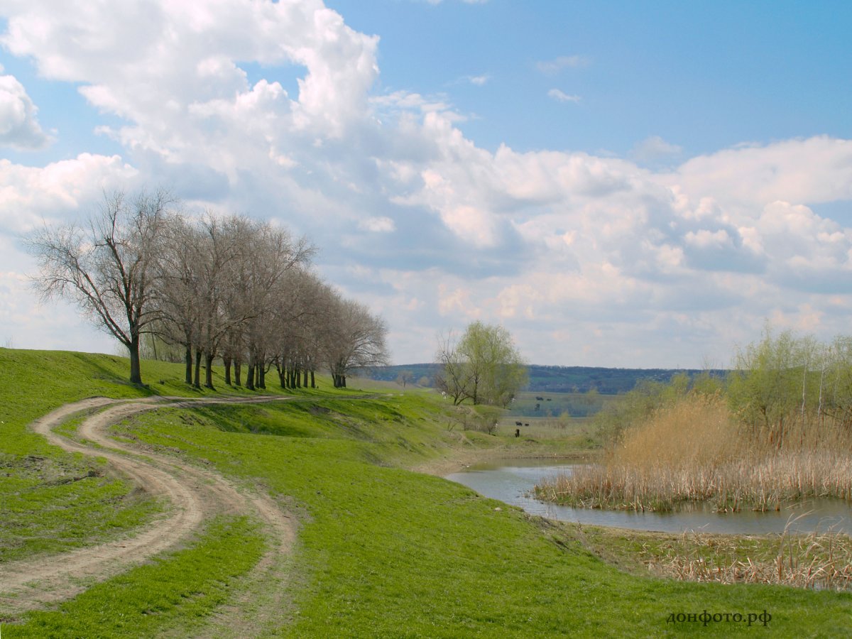 Донской край природа