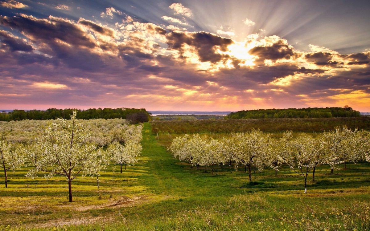 Весенний пейзаж
