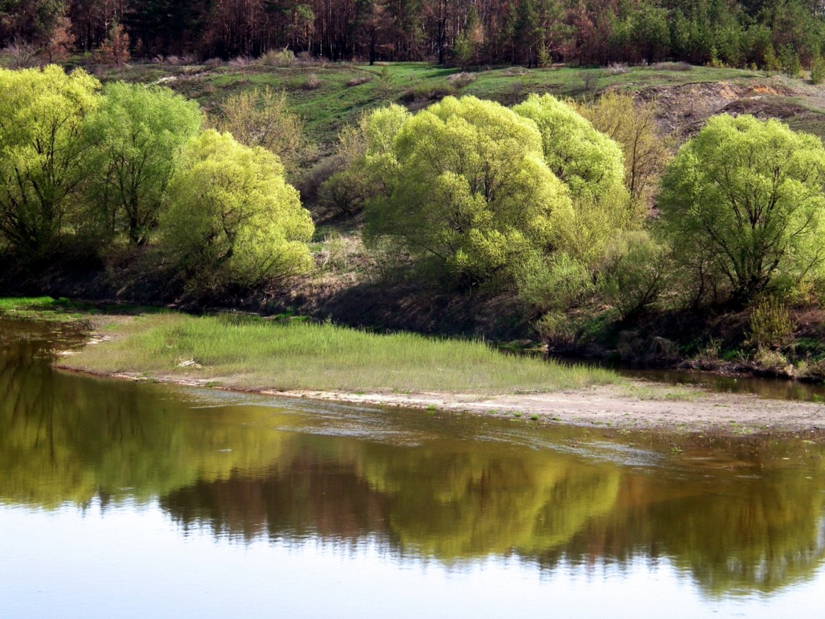 Весна на Дону