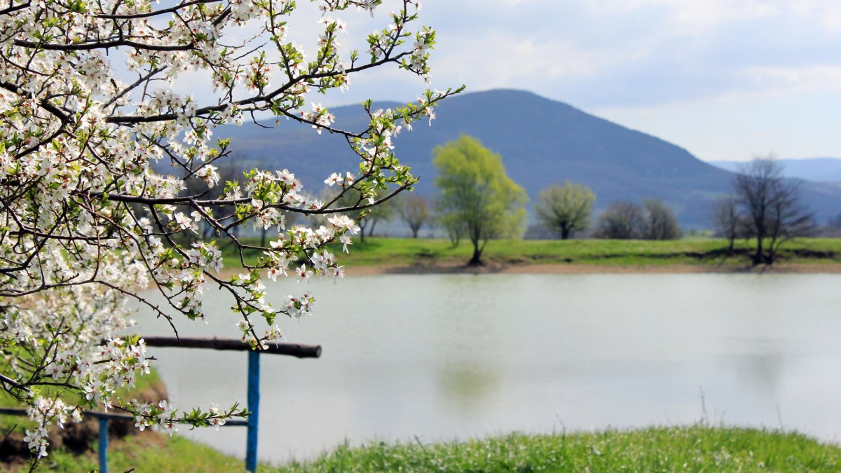 Весенние пейзажи на рабочий стол