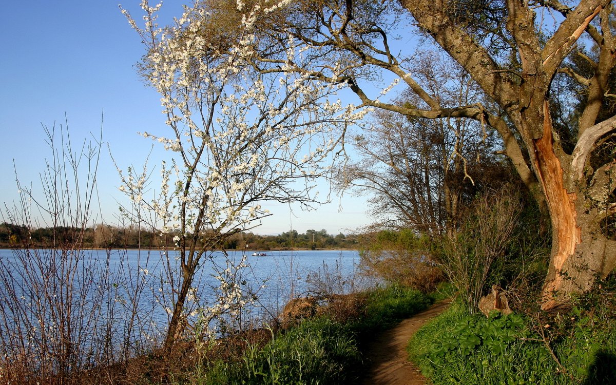 Ранняя Весна май