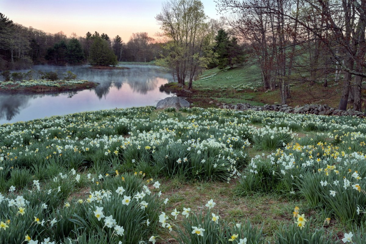 Природа весной