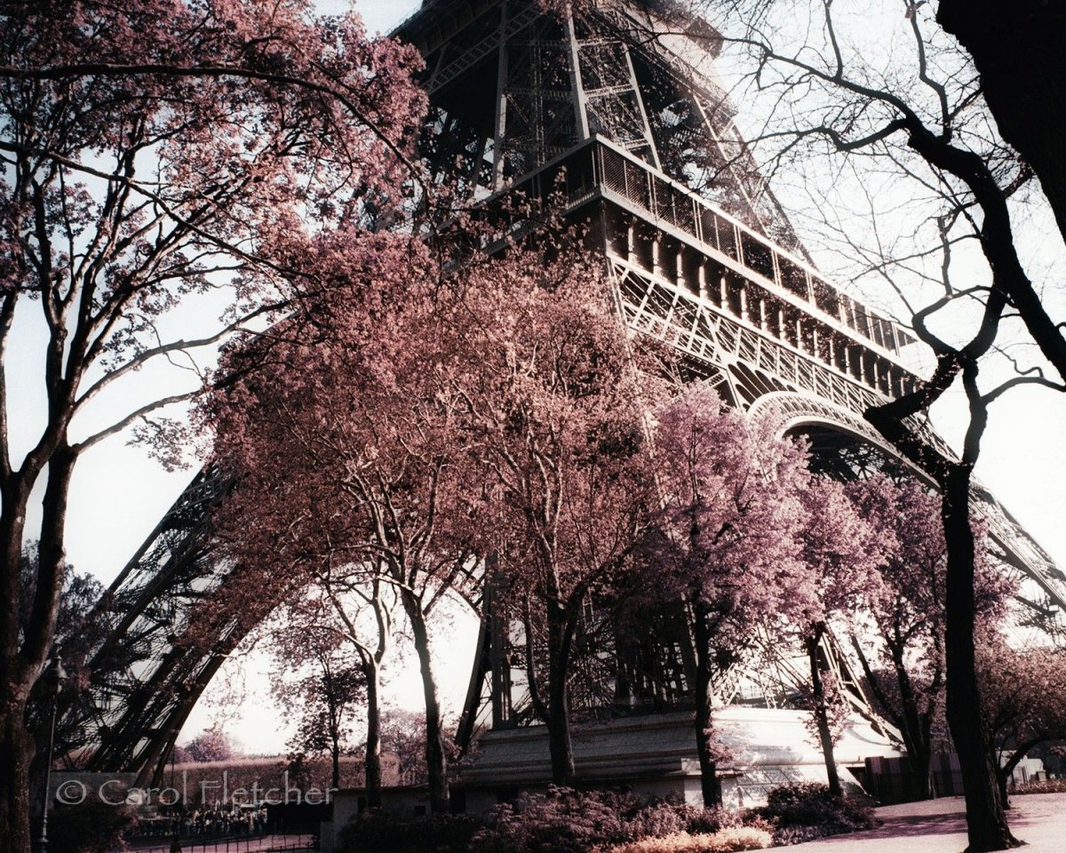 Весна на улицах Парижа