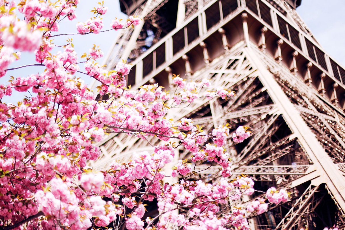 Весна в Париже