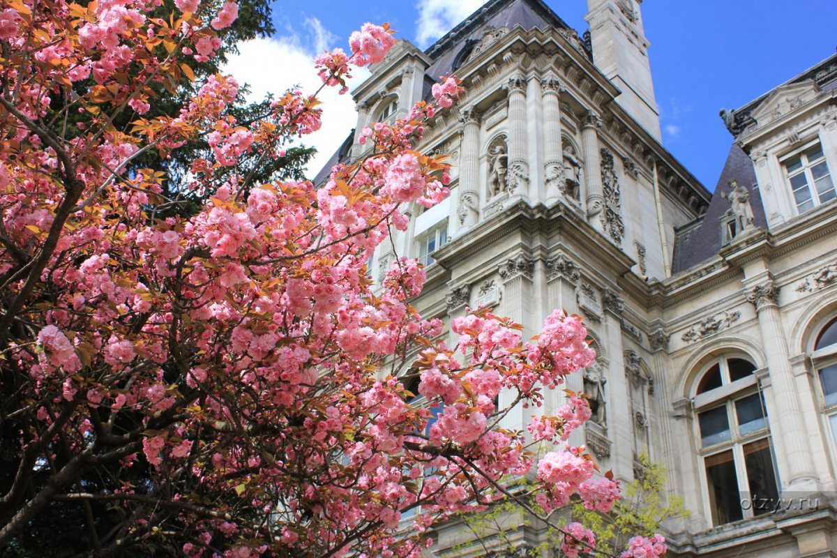 Весна в Париже