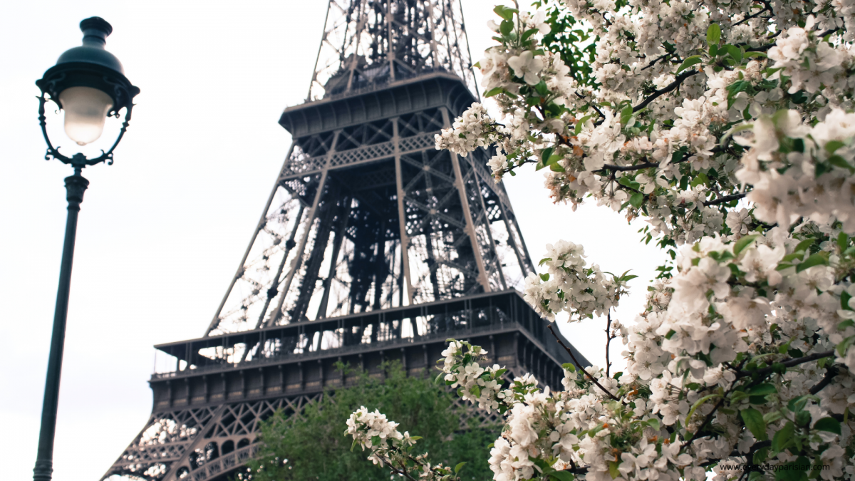 Весна в Париже обои на рабочий стол