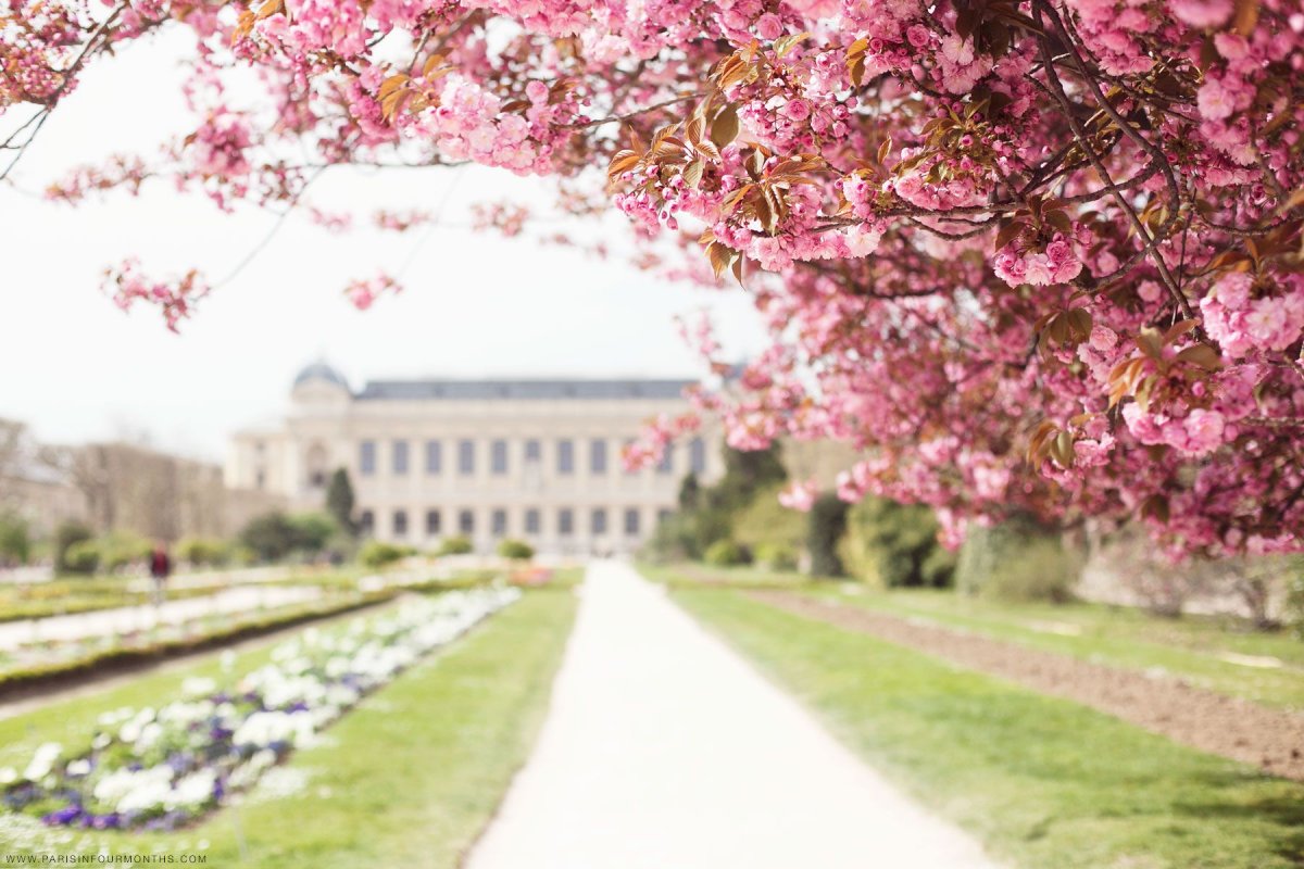 Париж парк Весна