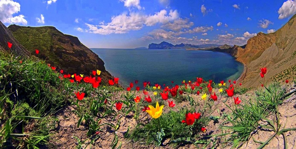 Крым Карадаг Весна