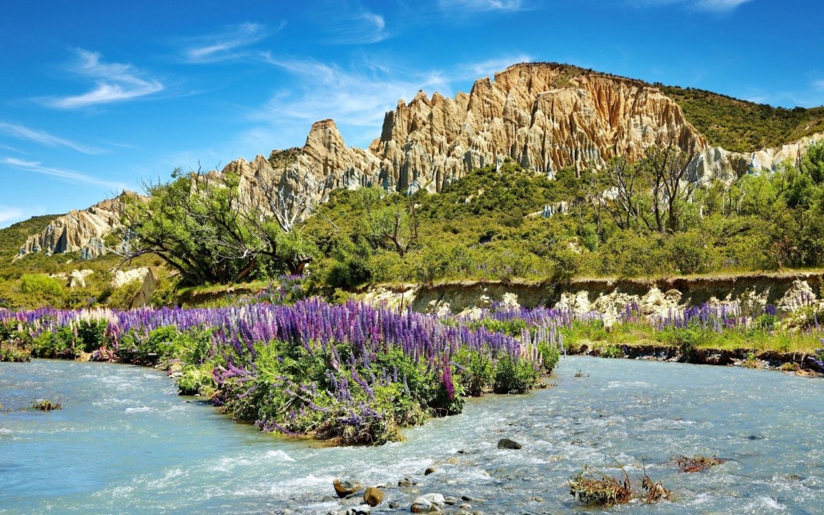 Альпы растительность