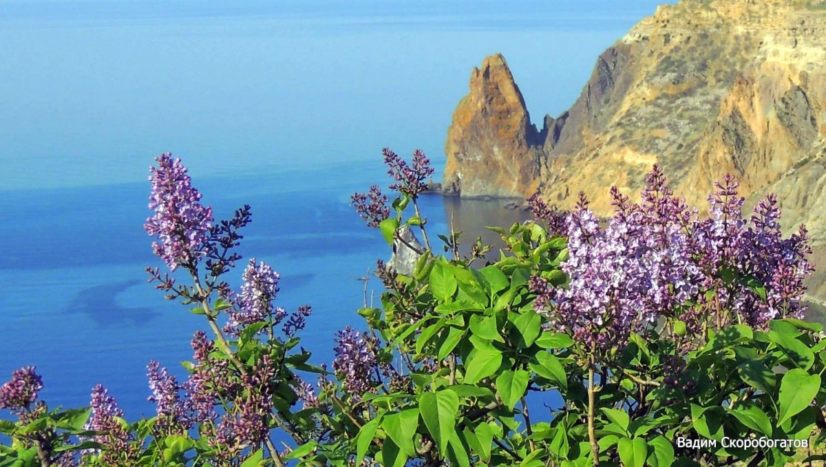 Крым Фиолент Весна
