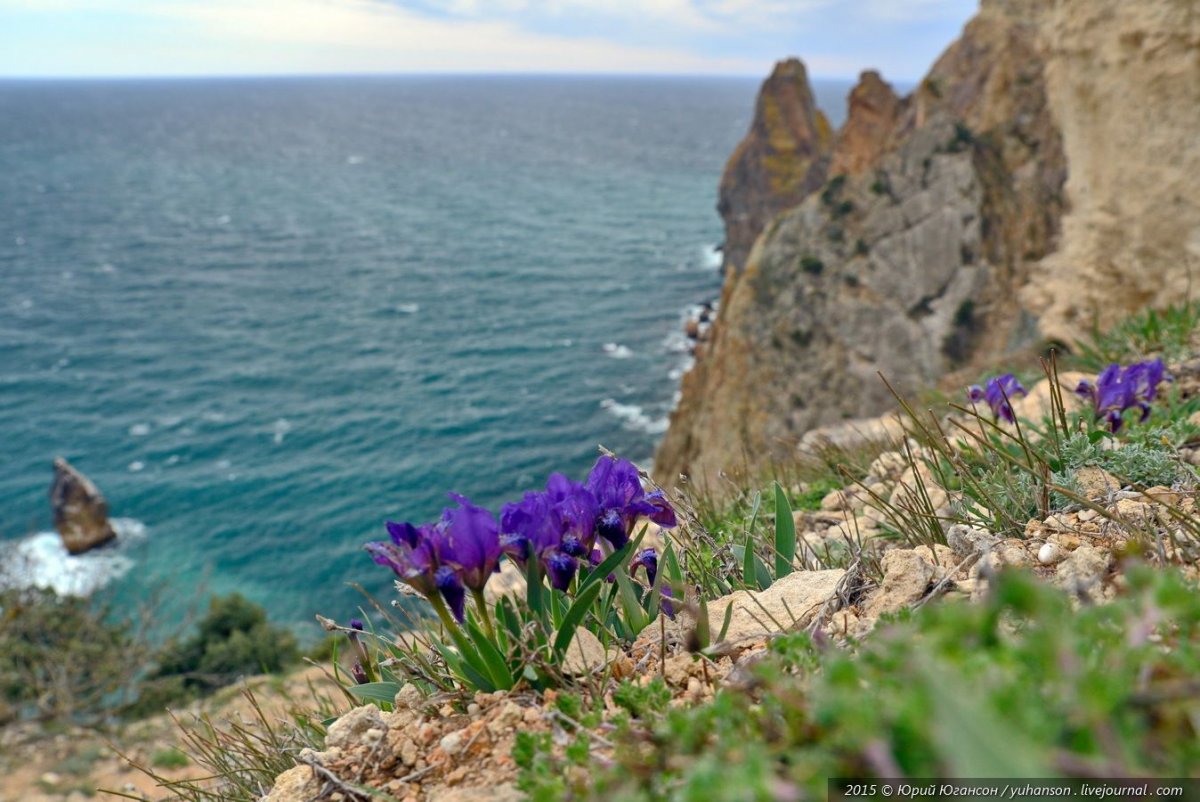 Апрельская природа Крыма