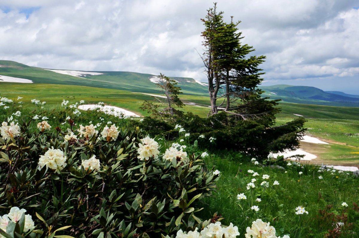 Адыгея - плато Лаго -Наки -гостиницы